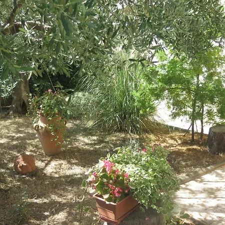 Studio In With Balcony, Air Condition, Wifi Appartement Poreč